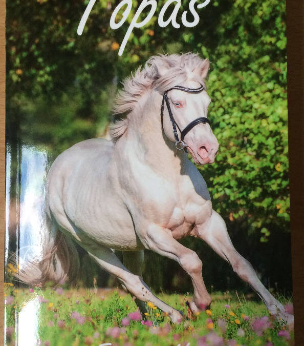 Autorinnenzeit – Empfiehl das Buch einer Autorin